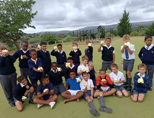 The Grade 4 Boys are fortune tellers!
Today, the …