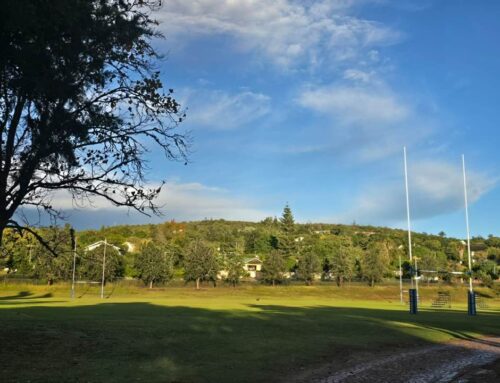 They say it’s the calm before the storm… Marais th…