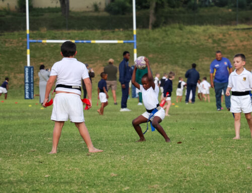 Gorgeous visuals of our Little Pumas versus the Ti…