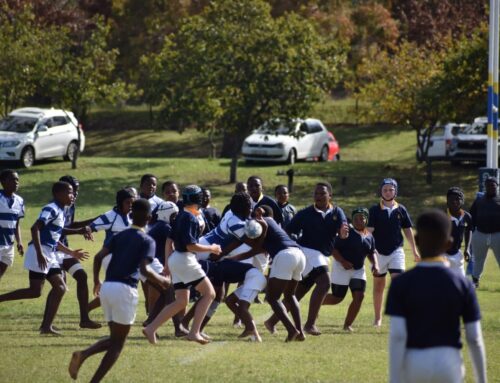 Junior Rugby Results vs Oatlands, Good Shepherd an…