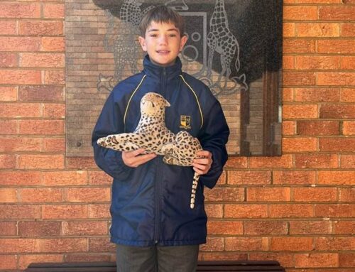 Daniel Coetsee is our Sportsman of the week for hi…