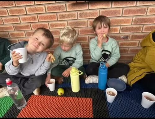 It’s holidays!  Our little leopards wrapped up the…