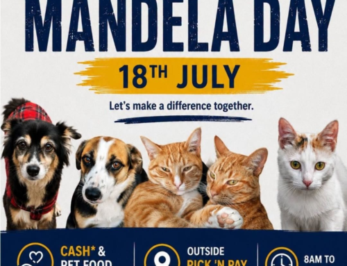 18 JULY 2026 – MANDELA DAY
Thank you Graeme Colleg…