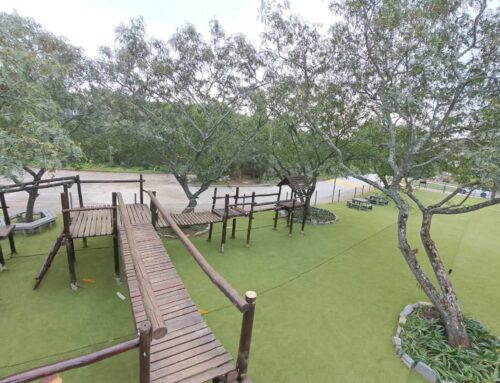 What a wonderful surprise awaits our Junior School…