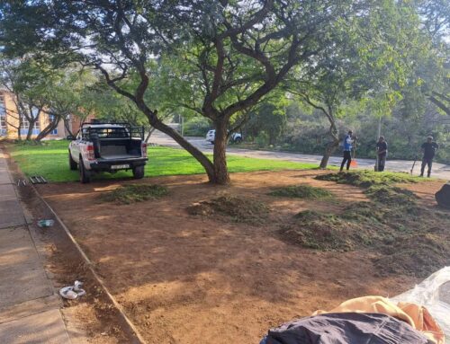 The before and after of our stunning playground re…