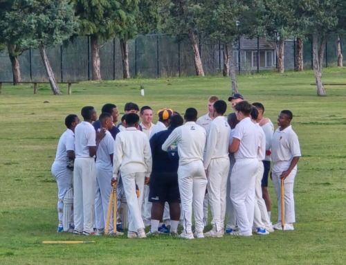 Just like that, cricket season starts and suddenly…