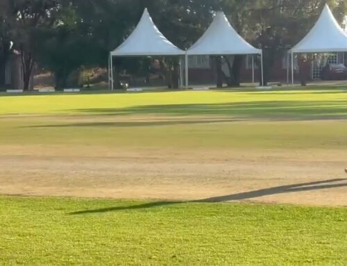 Corbin Tidbury scored a well-deserved half-century…