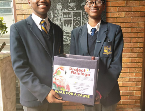 Project Flamingo RaffleAs part of our fundraisi…
