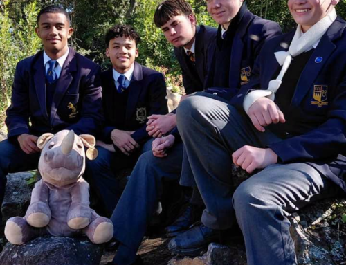 Have you seen Thabo the Rhino?  Keep your eyes pe…