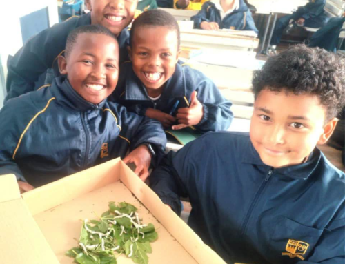 Spring is here! The Grade 4s have been watching th…