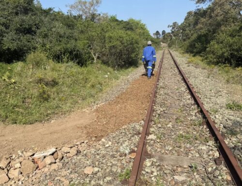 Railway trail between Graeme and Kingswood progres…