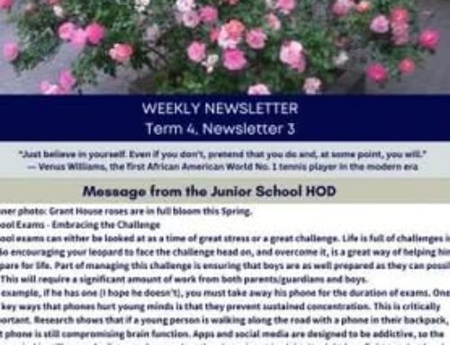 School newsletter 3, Term 4.