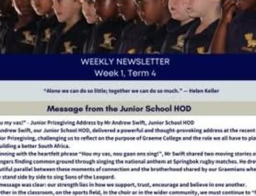 Term 4 Newsletter 1: