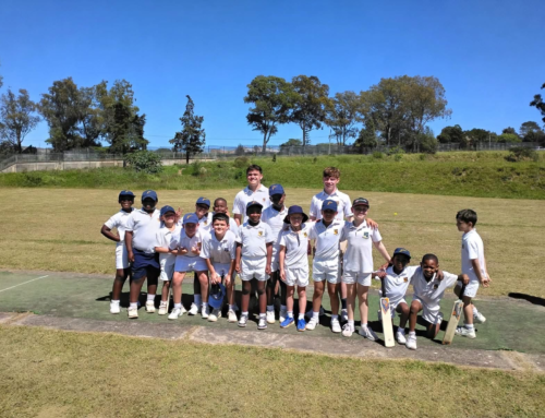 Little Leopards Cricket: A great start to the cric…