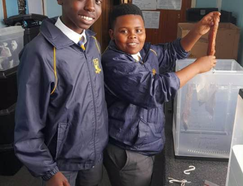Our Grade 9 boys are busy with a biltong making pr…